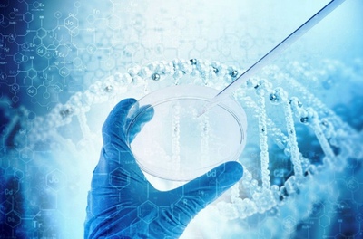 生物制品進口報關(guān)費用解析 全球進口門到門一站式服務指南